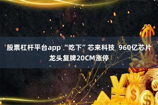 股票杠杆平台app “吃下”芯来科技  960亿芯片龙头复牌20CM涨停