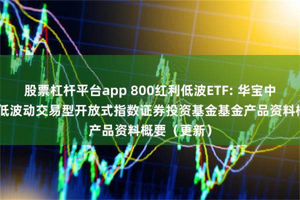 股票杠杆平台app 800红利低波ETF: 华宝中证800红利低波动交易型开放式指数证券投资基金基金产品资料概要（更新）