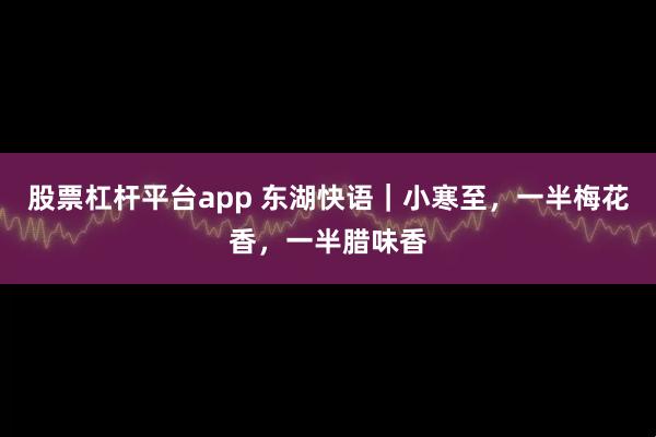 股票杠杆平台app 东湖快语｜小寒至，一半梅花香，一半腊味香