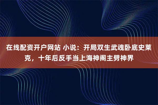 在线配资开户网站 小说：开局双生武魂卧底史莱克，十年后反手当上海神阁主劈神界