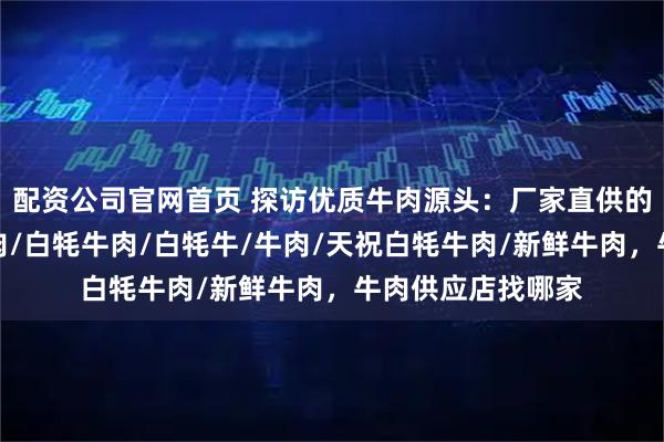 配资公司官网首页 探访优质牛肉源头：厂家直供的安心之选，鲜牛肉/白牦牛肉/白牦牛/牛肉/天祝白牦牛肉/新鲜牛肉，牛肉供应店找哪家